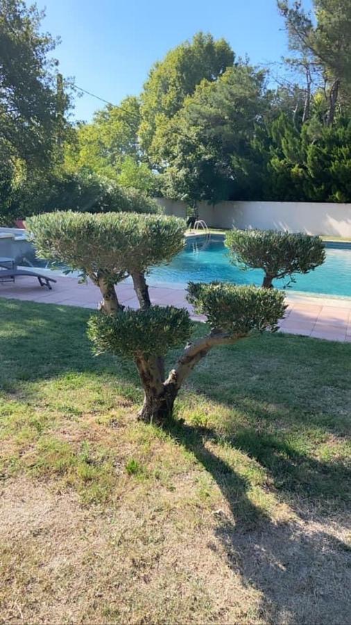 Bed and breakfast La Bastide Des Arts *