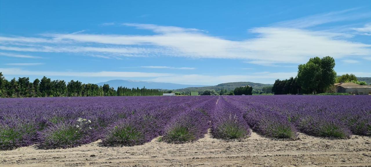 La Bastide Des Arts Bed and breakfast Saumane-de-Vaucluse